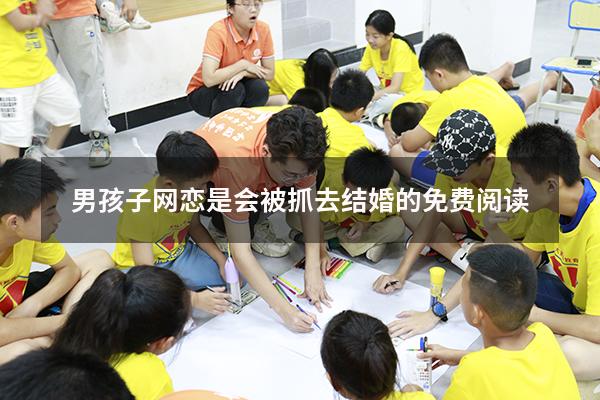 男孩子网恋是会被抓去结婚的免费阅读
