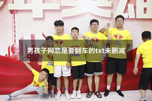 男孩子网恋是要翻车的txt未删减