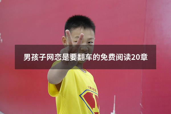 男孩子网恋是要翻车的免费阅读20章