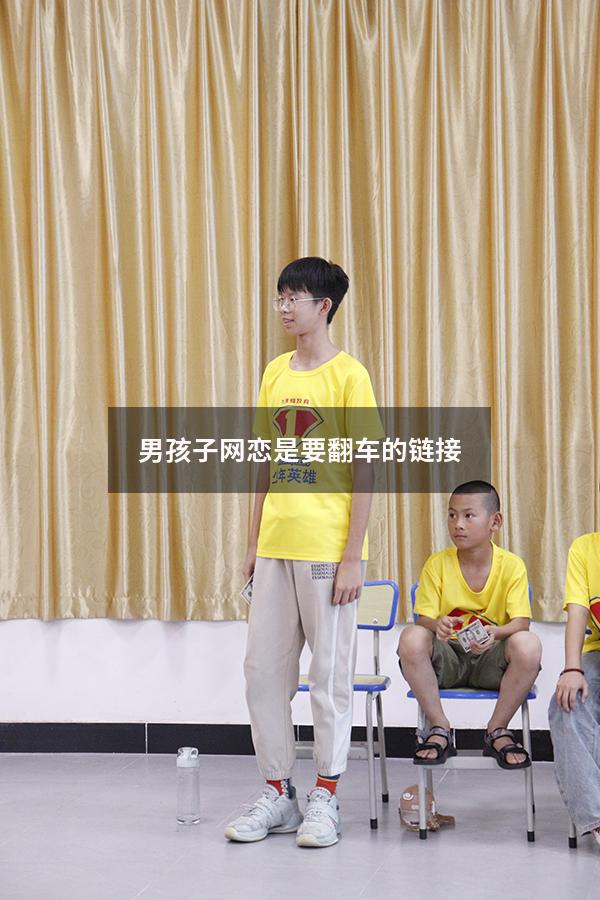 男孩子网恋是要翻车的链接
