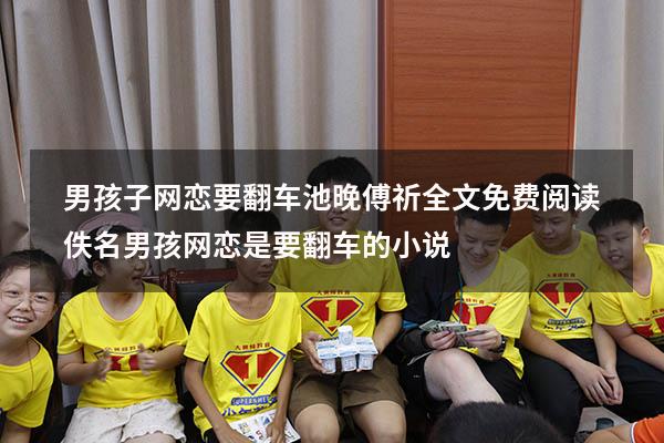 男孩子网恋要翻车池晚傅祈全文免费阅读佚名（男孩网恋是要翻车的小说）