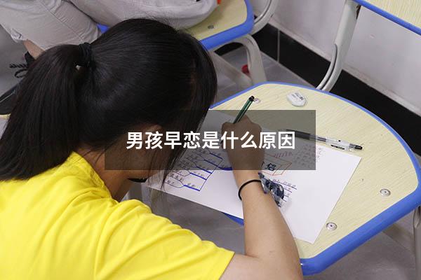 男孩早恋是什么原因