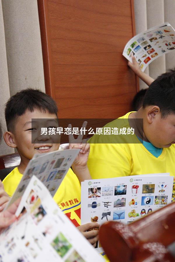 男孩早恋是什么原因造成的