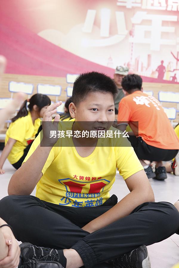 男孩早恋的原因是什么