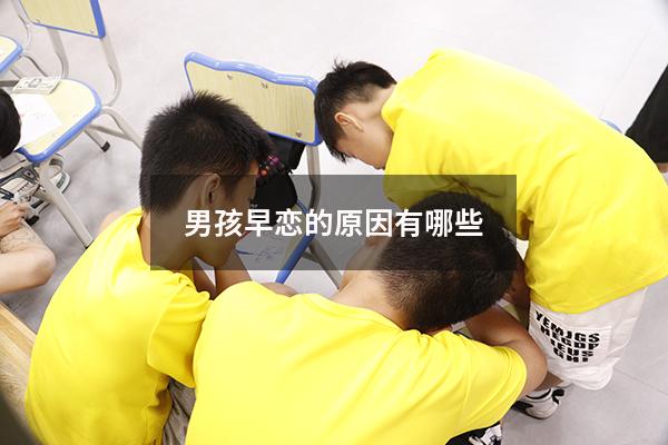 男孩早恋的原因有哪些（为什么孩子会早恋原因）