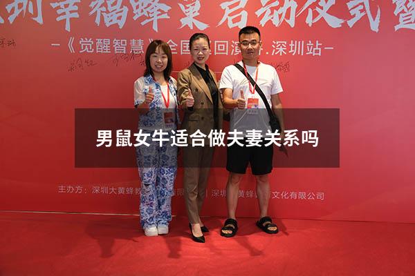 男鼠女牛适合做夫妻关系吗