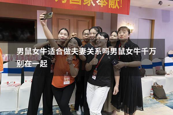 男鼠女牛适合做夫妻关系吗（男鼠女牛千万别在一起）