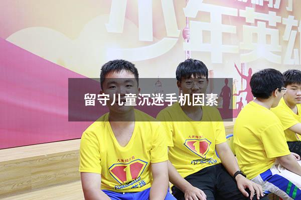 留守儿童沉迷手机因素