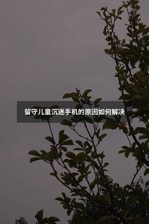 留守儿童沉迷手机的原因如何解决