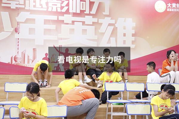 看电视是专注力吗