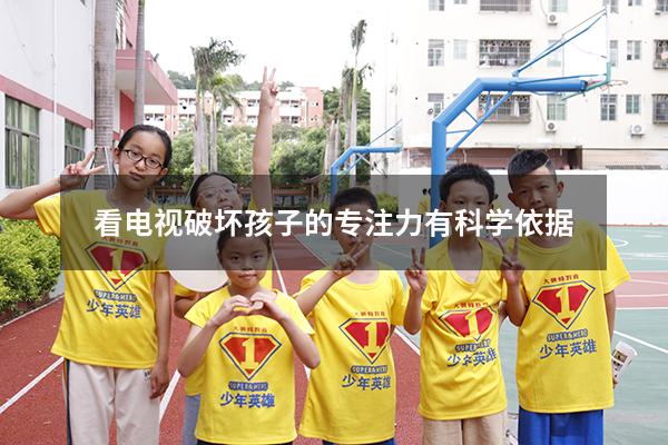 看电视破坏孩子的专注力有科学依据