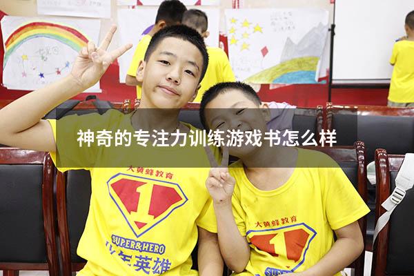 神奇的专注力训练游戏书怎么样