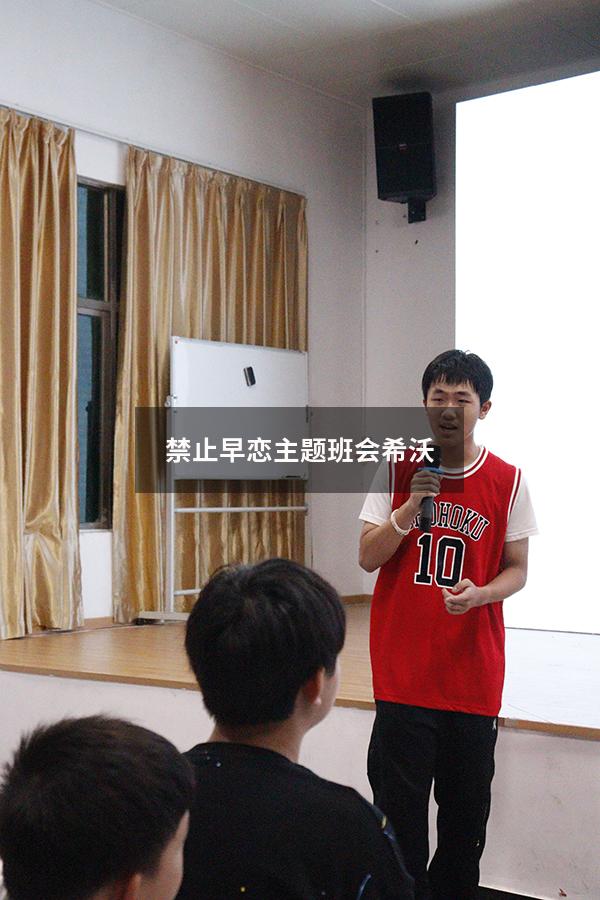 禁止早恋主题班会希沃