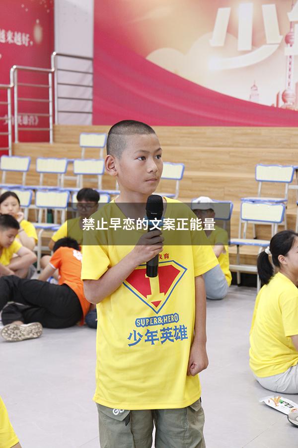 禁止早恋的文案正能量