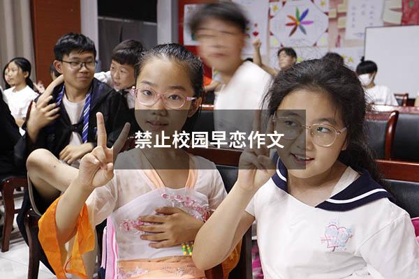 禁止校园早恋作文8405