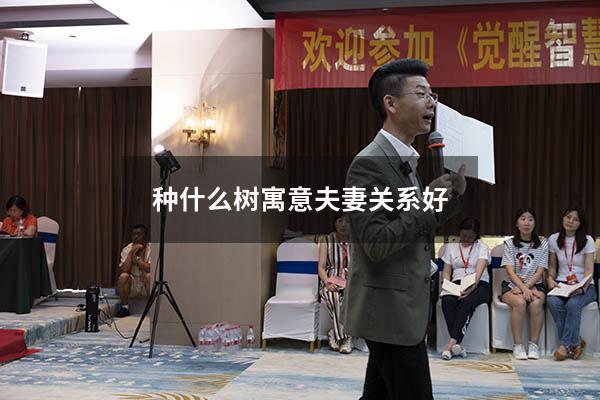 种什么树寓意夫妻关系好