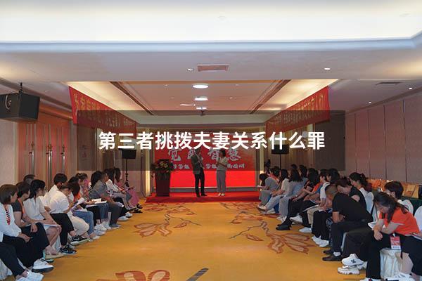 第三者挑拨夫妻关系什么罪