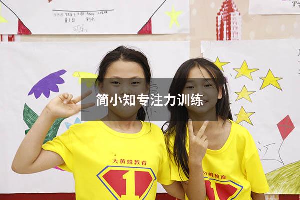 简小知专注力训练