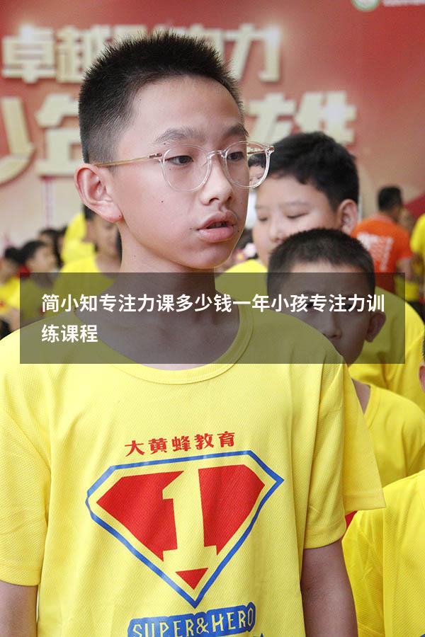 简小知专注力课多少钱一年（小孩专注力训练课程）