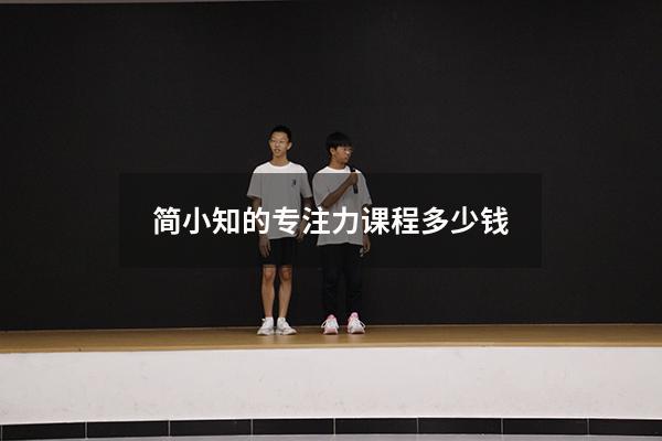 简小知的专注力课程多少钱