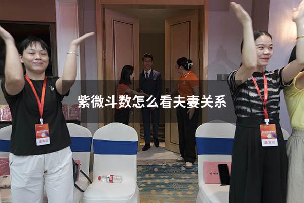 紫微斗数怎么看夫妻关系