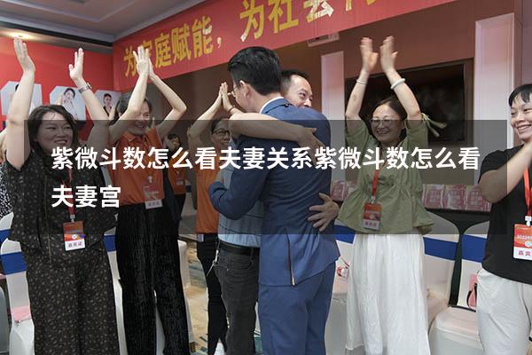 紫微斗数怎么看夫妻关系（紫微斗数怎么看夫妻宫）