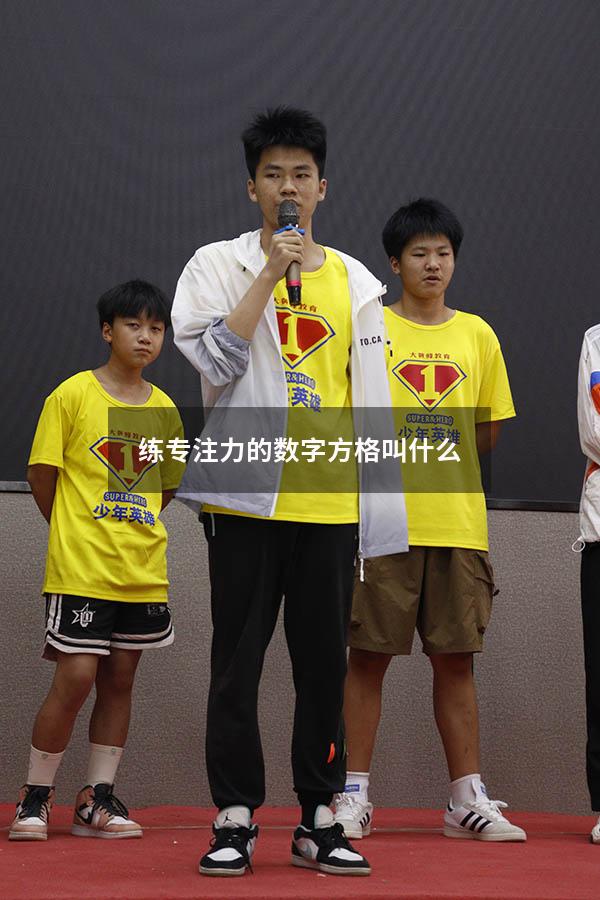 练专注力的数字方格叫什么