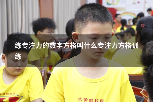 练专注力的数字方格叫什么（专注力方格训练）