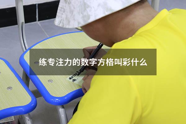 练专注力的数字方格叫彩什么