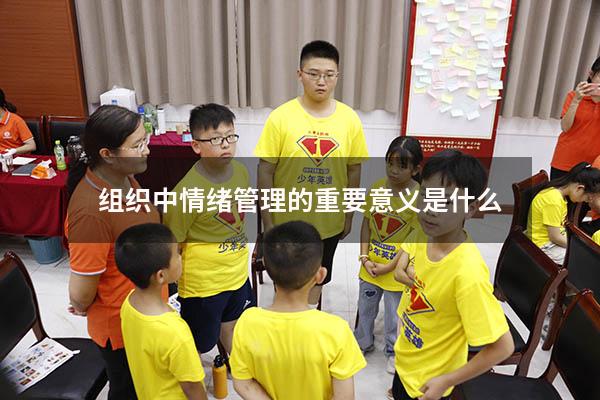 组织中情绪管理的重要意义是什么