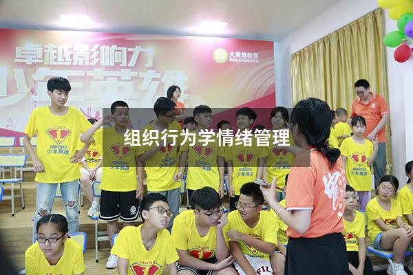 组织行为学情绪管理