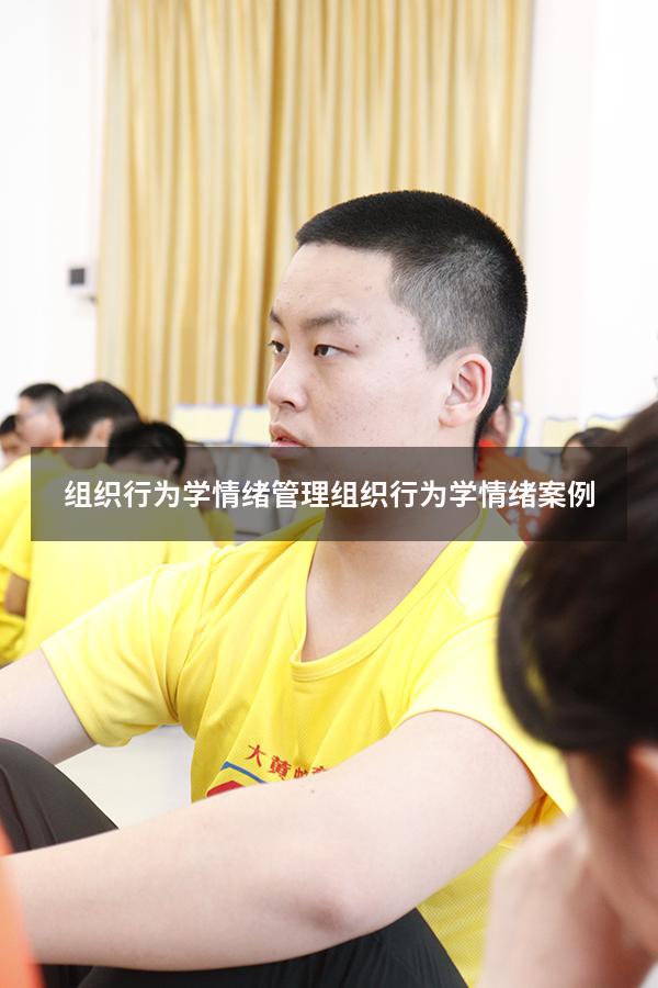 组织行为学情绪管理（组织行为学情绪案例）