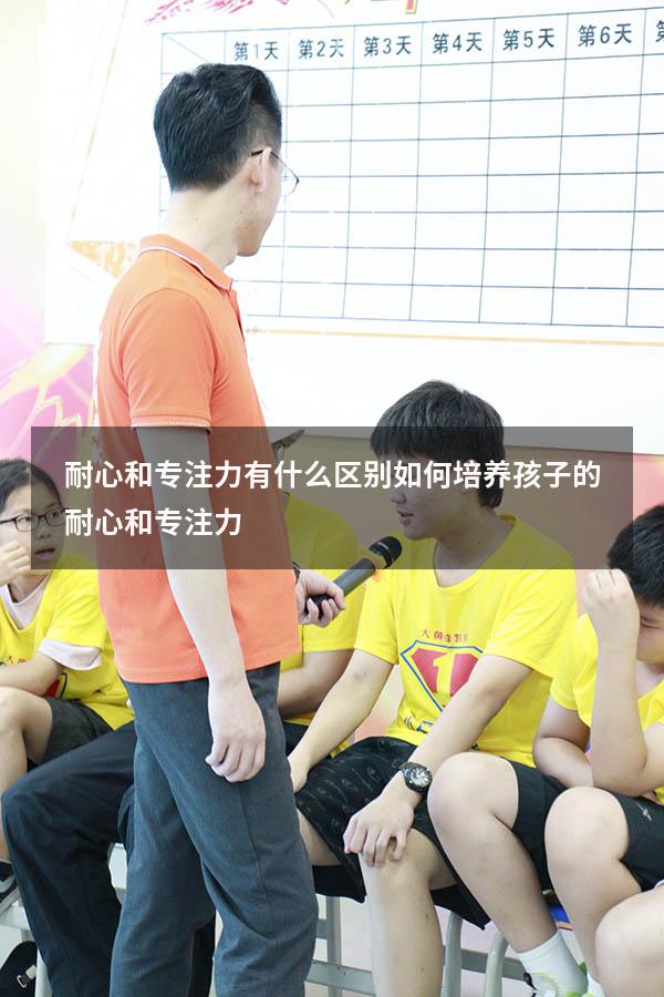 耐心和专注力有什么区别（如何培养孩子的耐心和专注力）