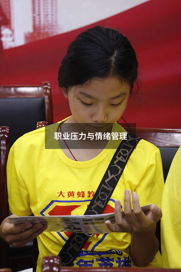 职业压力与情绪管理