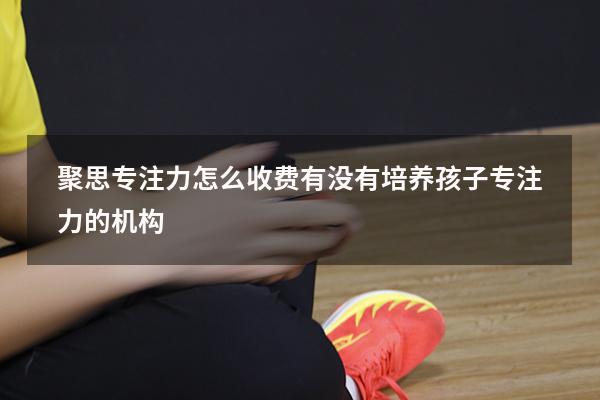 聚思专注力怎么收费（有没有培养孩子专注力的机构）