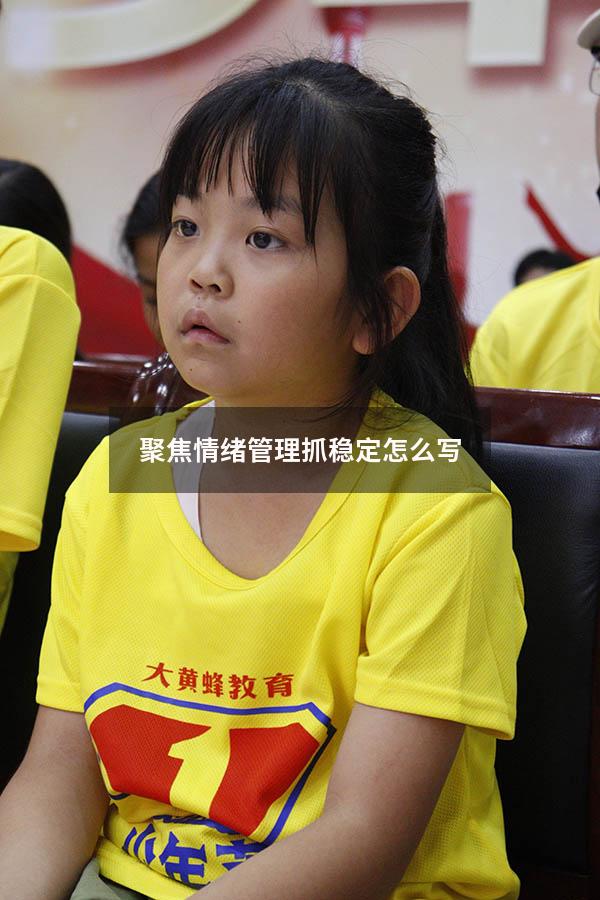 聚焦情绪管理抓稳定怎么写