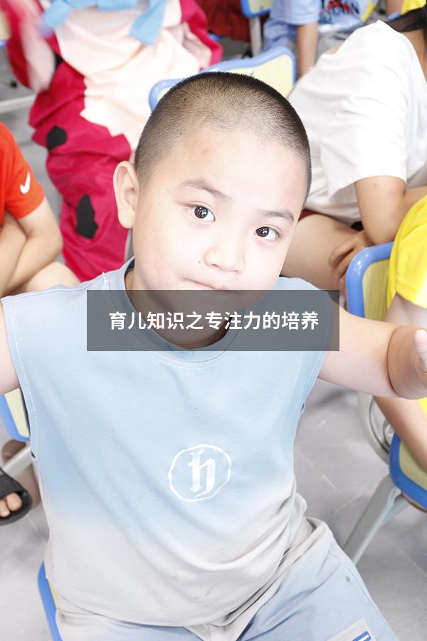 育儿知识之专注力的培养