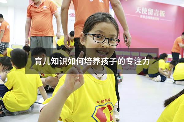 育儿知识如何培养孩子的专注力