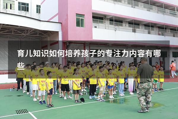 育儿知识如何培养孩子的专注力内容有哪些
