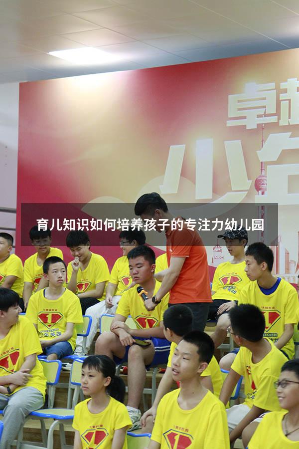 育儿知识如何培养孩子的专注力幼儿园