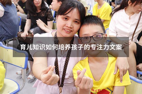 育儿知识如何培养孩子的专注力文案