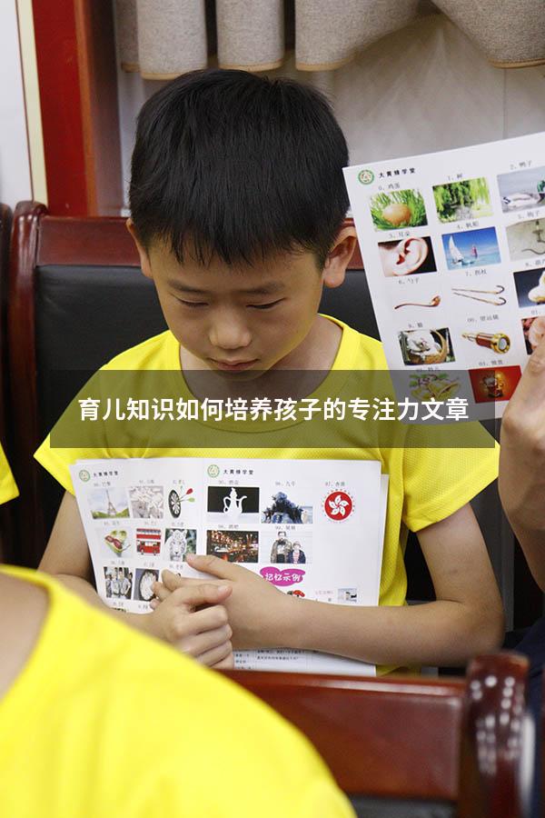 育儿知识如何培养孩子的专注力文章