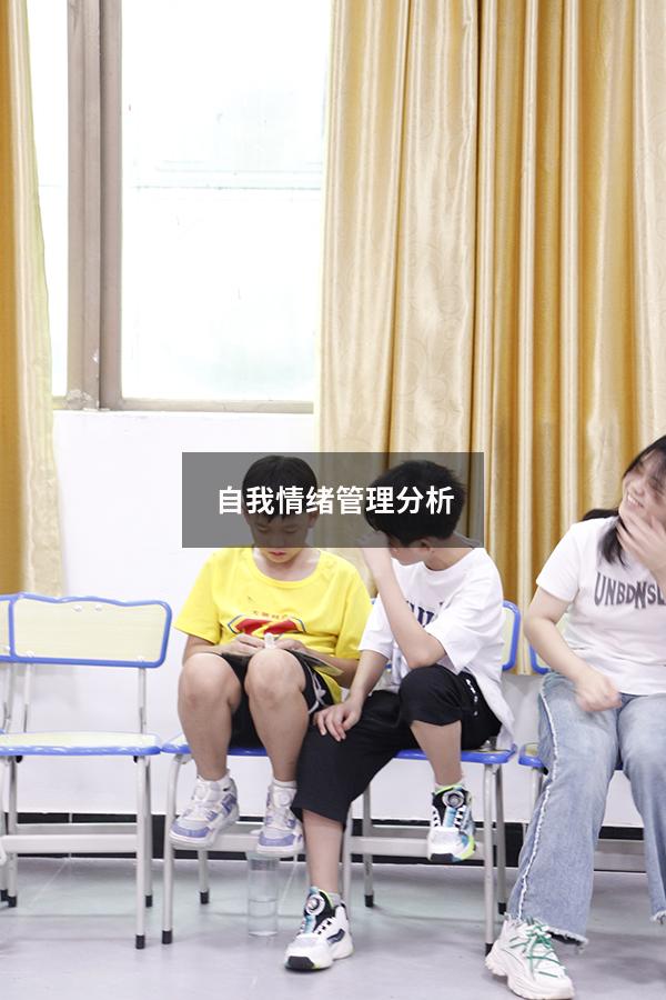 自我情绪管理分析
