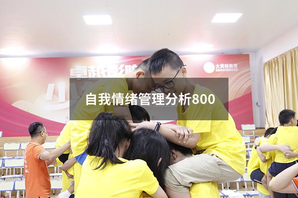 自我情绪管理分析800