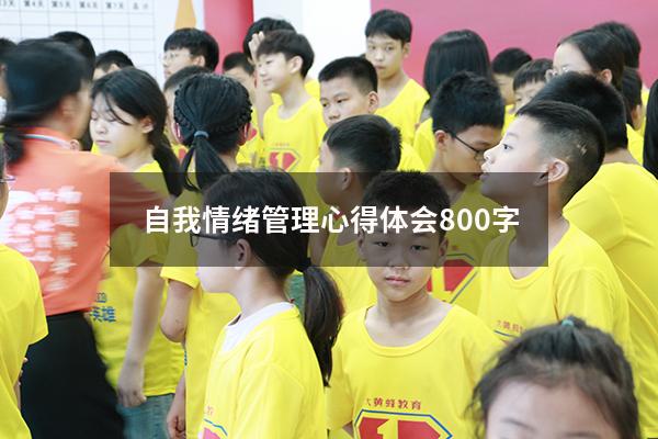 自我情绪管理心得体会800字