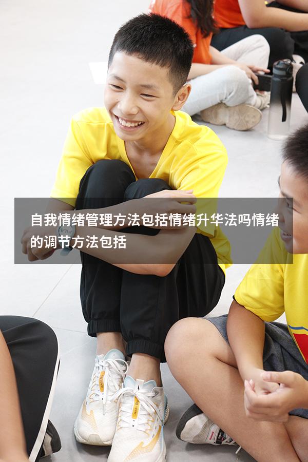 自我情绪管理方法包括情绪升华法吗（情绪的调节方法包括）