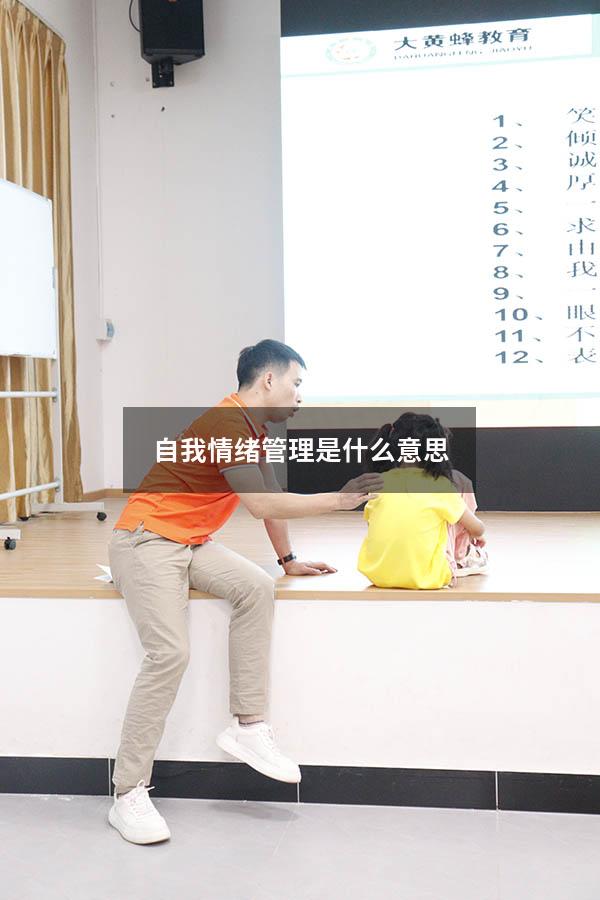 自我情绪管理是什么意思