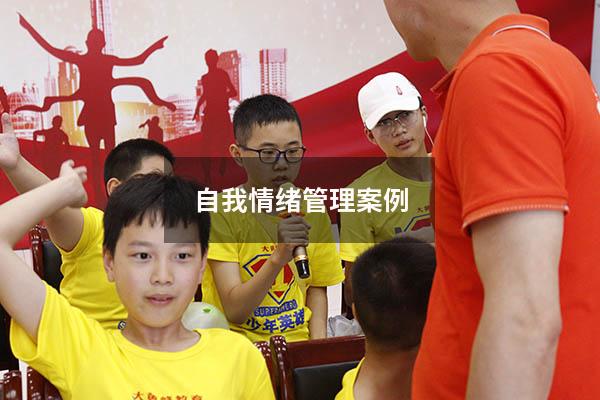 自我情绪管理案例