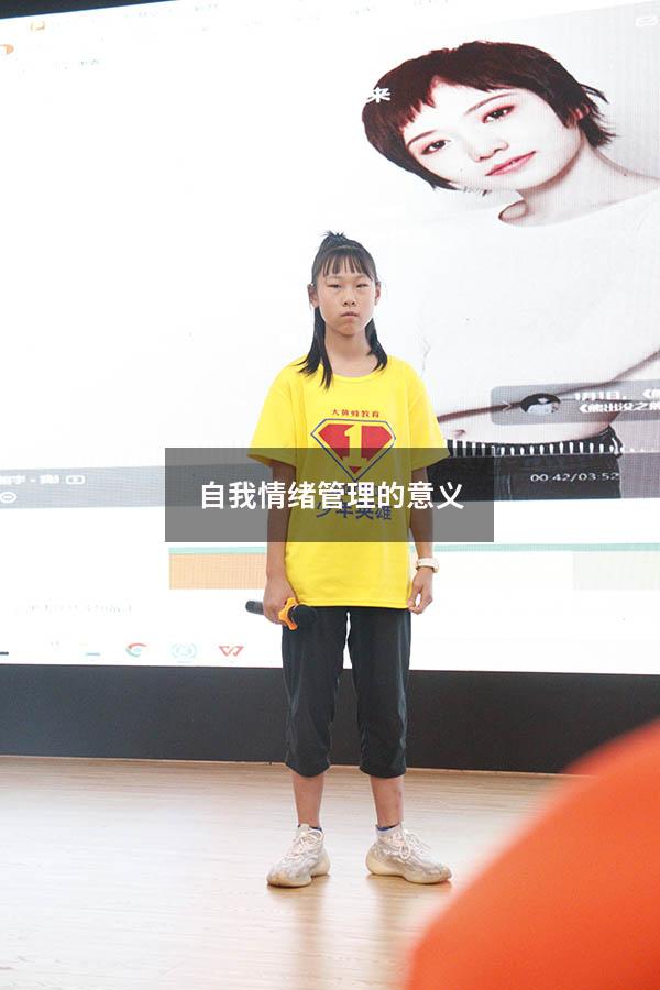 自我情绪管理的意义