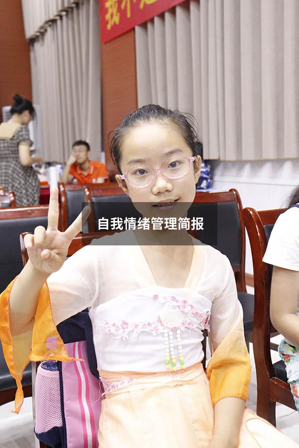 自我情绪管理简报